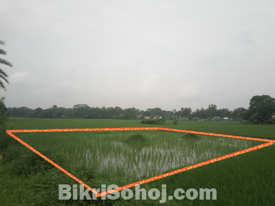 ২ কাঠা জমি ইমারজেন্সি বিক্রি করা হবে
